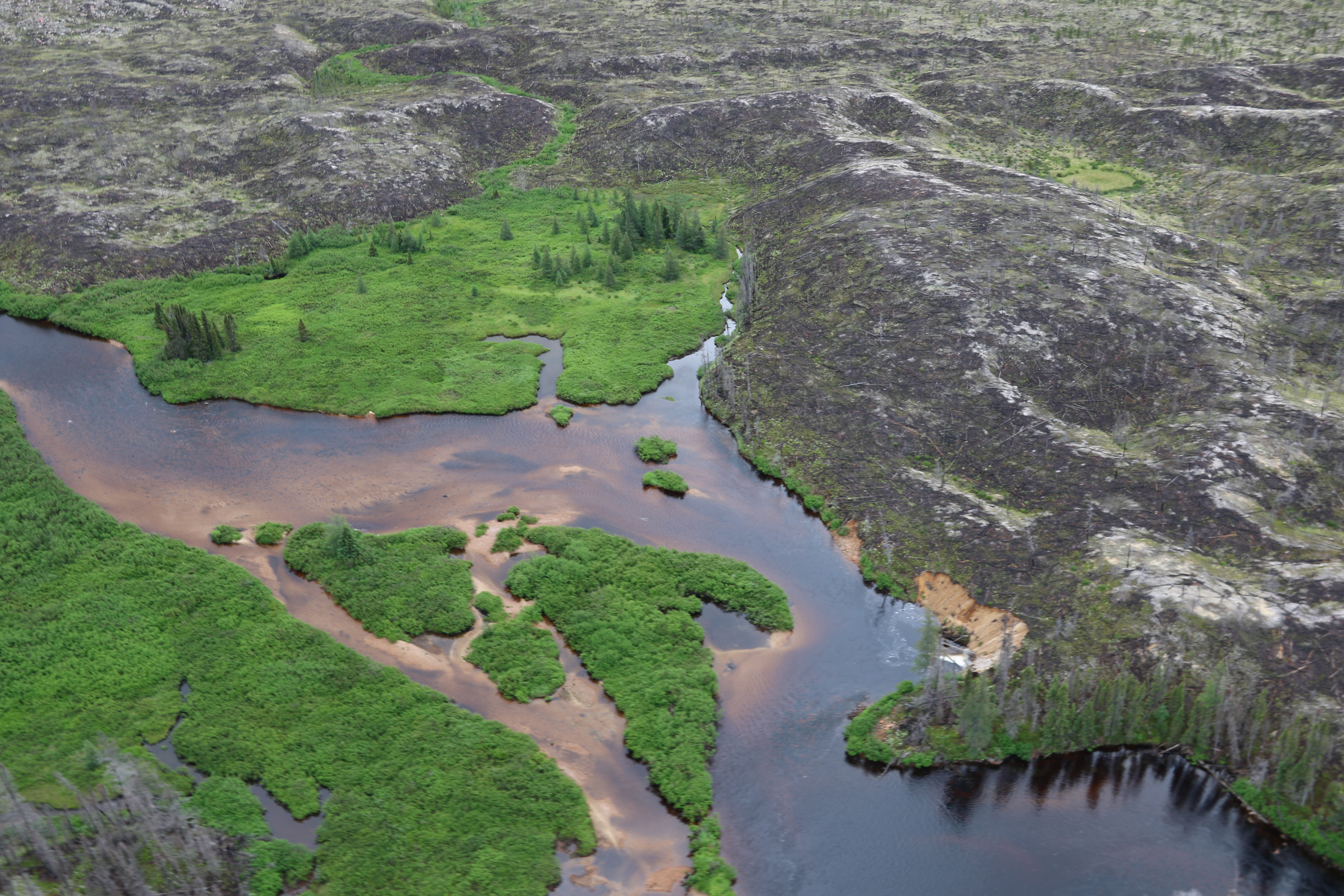 Parc National Nibiischii